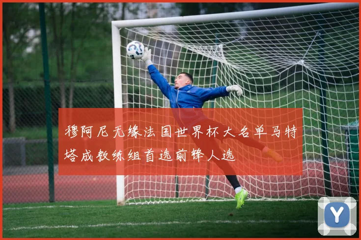 穆阿尼无缘法国世界杯大名单马特塔成教练组首选前锋人选