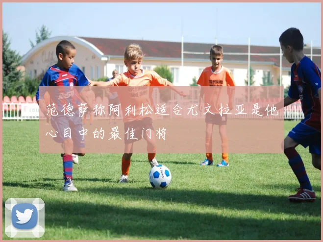 范德萨称阿利松适合尤文拉亚是他心目中的最佳门将